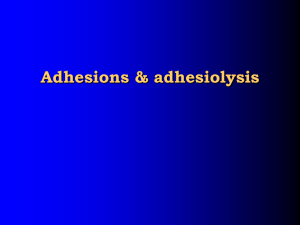 Adhesions & adhesiolysis