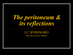 The peritoneum & its reflections