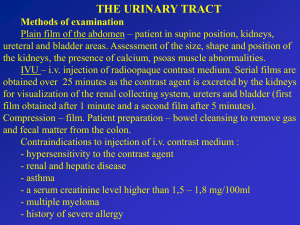 urinary tract - UMF IASI 2015