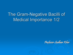 Gram Negative Bacilli of Med Imp