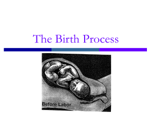 The Birth Process