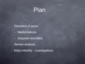 Male Genital System Semen analysis