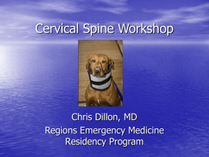 Cervical Spine Workshop