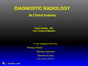 Lecture - School of Medicine Department of Radiology