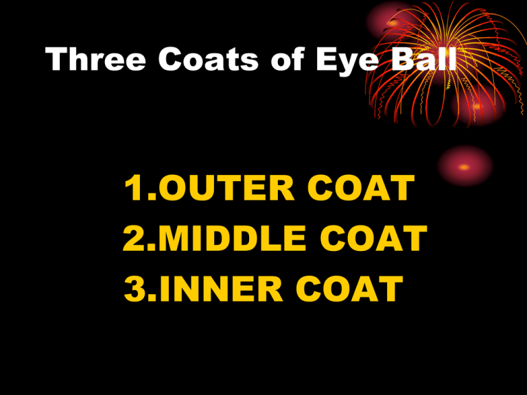 middle coat of the eyeball