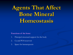 Bone - BMC Dentists 2011