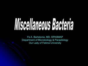 Miscellaneous Bacteria