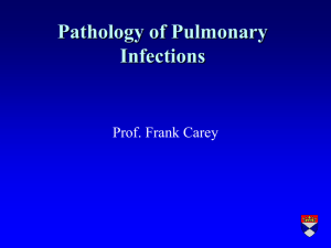 Pathology of Pulmonary Infections