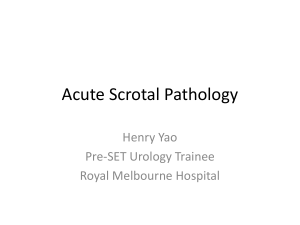 Acute Scrotal Pathology