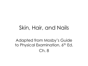 Skin, Hair, and Nails