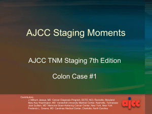 Staging Moments Colon Case 1