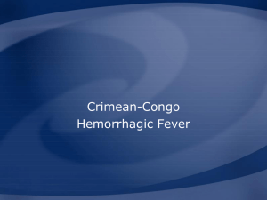 haemorrahgic fever