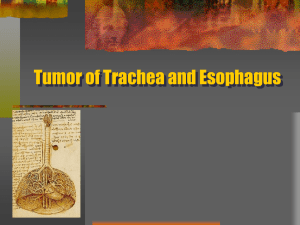 1.1Tumor_of_Trachea_and_Esophagus