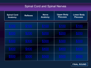 Nervous Tissue