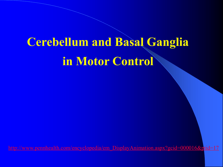 56 Cerebellum and Basal Ganglia