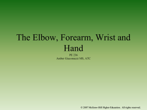 The Elbow, Wrist, & Hand