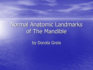 Normal Anatomic Landmarks of The Mandible