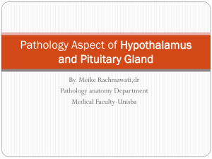 pathology-aspect-of-hypothalamus-and-pituitary