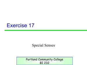 Ativity 16, 17, 18 - PCC - Portland Community College