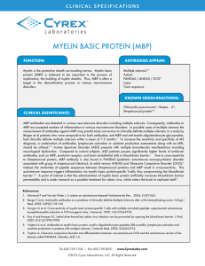 MYELIN BASIC PROTEIN (MBP)