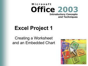 Excel Project 1