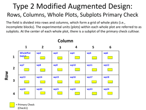 Type 2 Modified Augmented Design