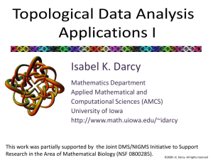 Introduction to Topological Data Analysis: Grid cells