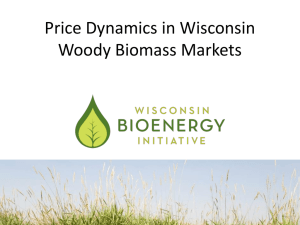 Price Dynamics in Wisconsin Woody Biomass