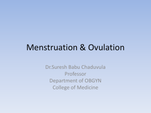 Menstruation & Ovulation