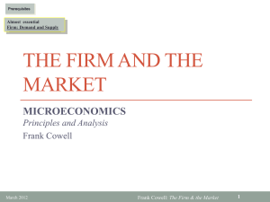 The Firm and the Market