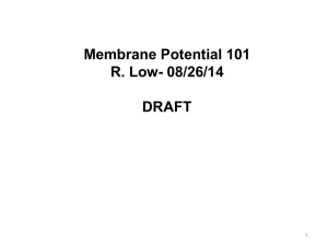 Membrane Potential 101
