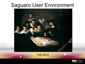 Saguaro-User-Environment-Slides-Fall13