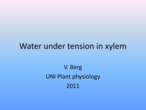 Water under tension
