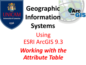 Attribute Table