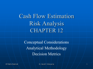 Cash Flow Estimation Risk Analysis