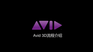 05 Avid 3D解决方案