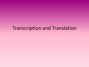 Transcription and Translation