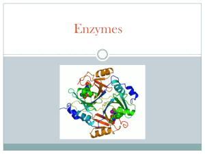 Enzymes PPT