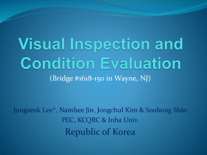 Visual Inspection and Condition Assessment