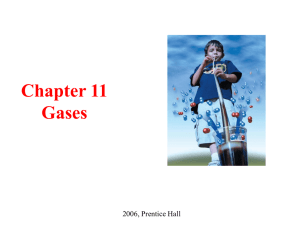 Chapter 11 Lecture