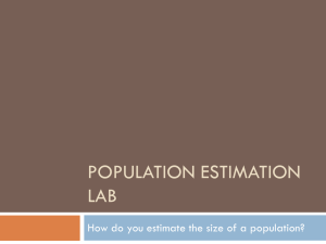Population Estimation Lab PPT