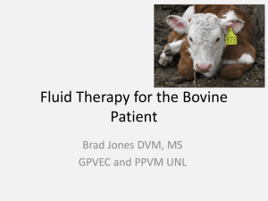 WUFluid Therapy for the Bovine Patient