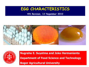 Formation of the egg - Nugraha Edhi Suyatma