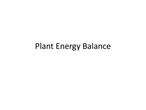 Plant Energy Balance