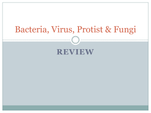 Bacteria, Virus, Protist & Fungi