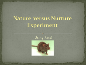 Nature v Nurture Experiment with rats