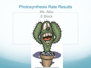 Photosynthesis Data E Block