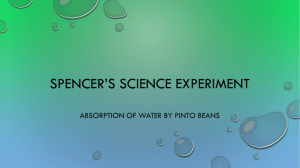 Spencer*s Science Experiment
