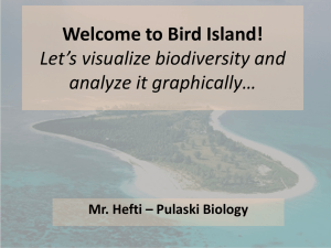 Bird Island Activity with Graphs