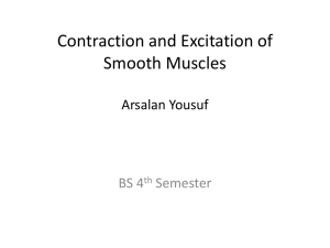 Contraction and Excitation of Smooth Muscles Arsalan Yousuf